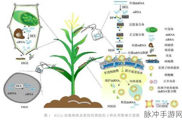 18c.mic：探索18c.mic在音频技术领域的创新应用与发展前景