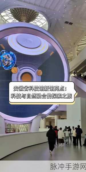 坤操桃子：拓展坤操桃子：探索自我与自然的和谐之旅