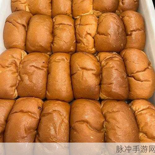 哈尔滨老阿姨最后的巅峰：哈尔滨老阿姨的辉煌岁月与人生巅峰记