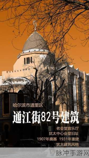 哈尔滨老阿姨最后的巅峰：哈尔滨老阿姨的辉煌岁月与人生巅峰记