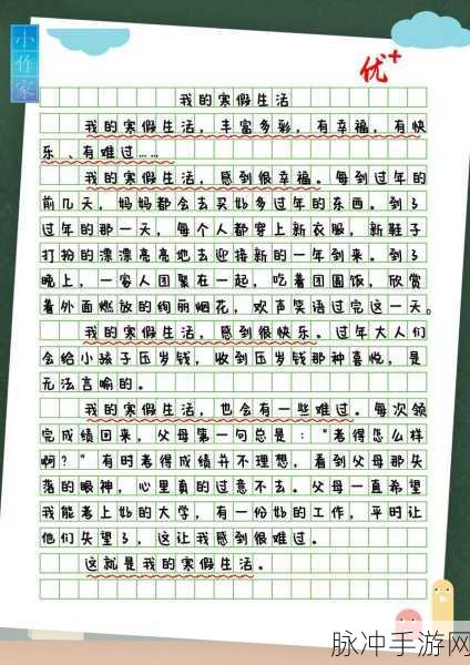 一加速女朋友就会哭的作文：当我加速时，她的眼泪与我的心跳交织
