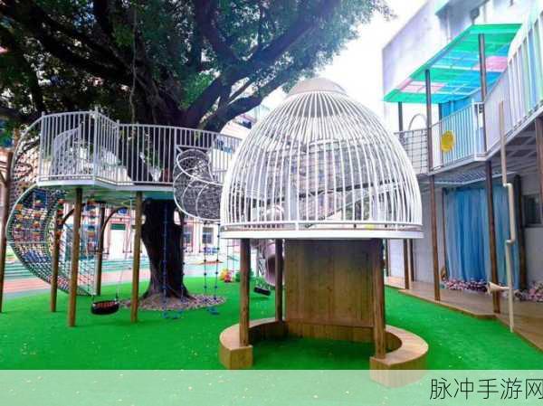 篮球队的公共玩具正伟周泰然图片：拓展篮球队的公共玩具，助力团队合作与互动乐趣。