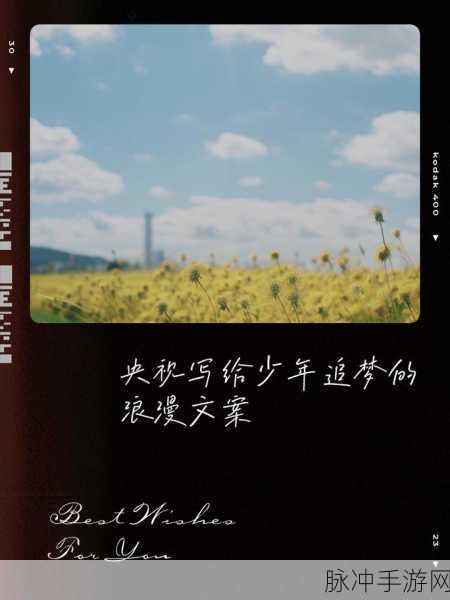 1819岁：青春岁月的绽放：1819岁的追梦旅程与探索