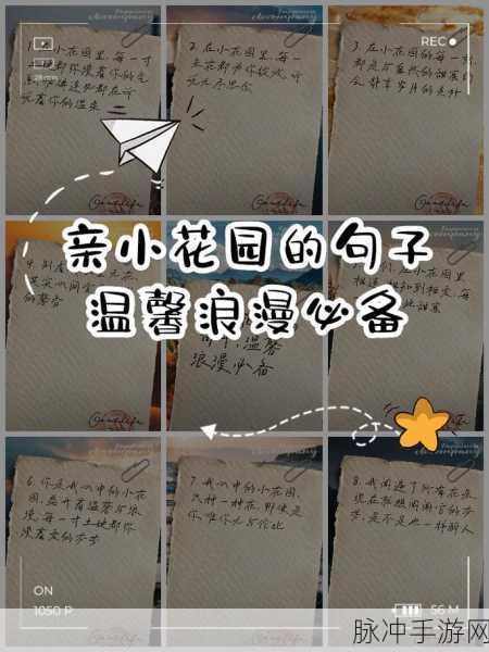 亲小花园十个技巧和技巧与注意事项：扩展亲小花园的十个技巧及注意事项解析