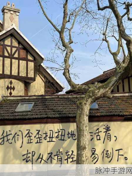 玛雅确认你已满18周岁：确认您已满18岁，享受更多精彩内容的机会！