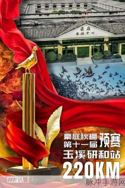东川豪廷赛鸽中心秋棚：东川豪廷赛鸽中心秋季棚展全新启航，精彩不断！