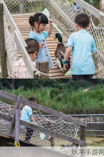 二人世界拔萝卜生猴子广告：快乐二人世界：一起拔萝卜，乐享童趣生猴子！