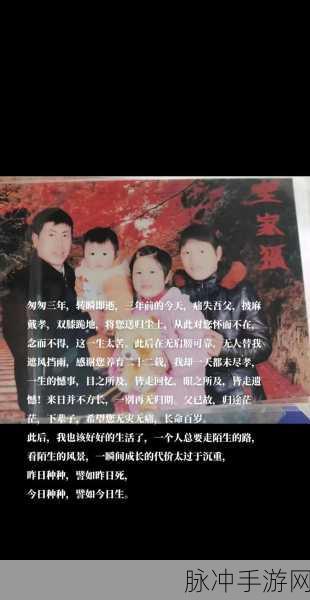 膝盖之间1984：在1984年重塑自由：膝盖之间的抗争与希望
