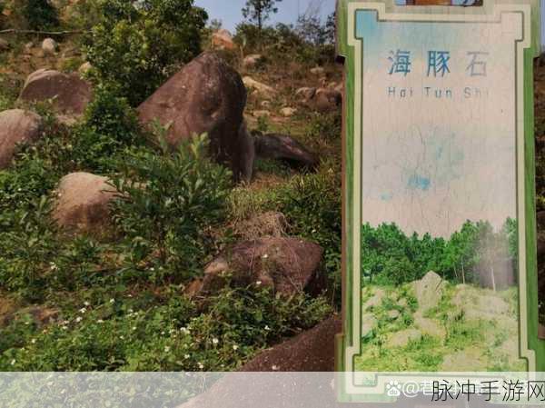 xzl仙踪林精品产品：探索xzl仙踪林的独特精品产品，尽享自然魅力与品质生活