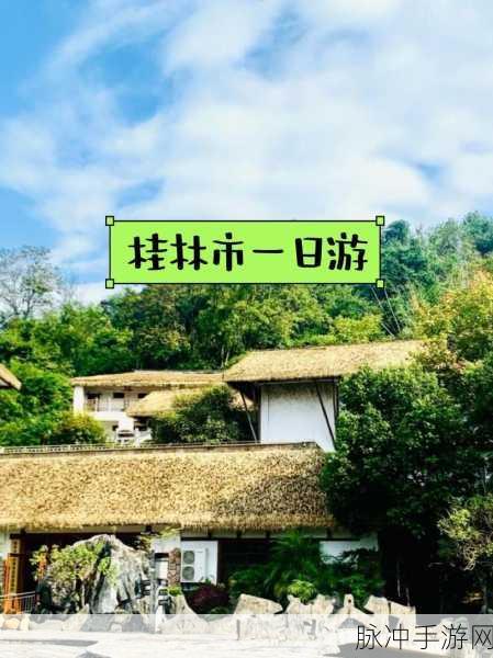 xzl仙踪林精品产品：探索xzl仙踪林的独特精品产品，尽享自然魅力与品质生活