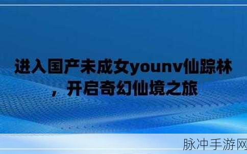 HIPHOP仙踪林的：在节奏中追寻梦想，HIPHOP仙踪林的音符之旅