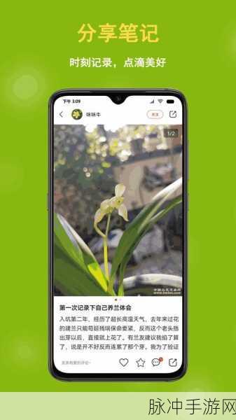迈开腿打扑克视频软件免费版：免费版迈开腿打扑克视频软件，让你轻松畅玩扑克游戏！