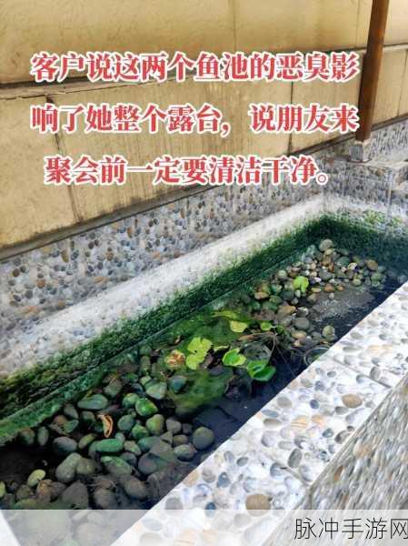 地心护核者鱼池：地心护核者鱼池的神秘探险与生态探索
