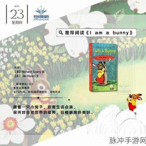 静观其变指十二生肖中的哪个生肖：静观其变，生肖兔子带来的灵动智慧与变化之美