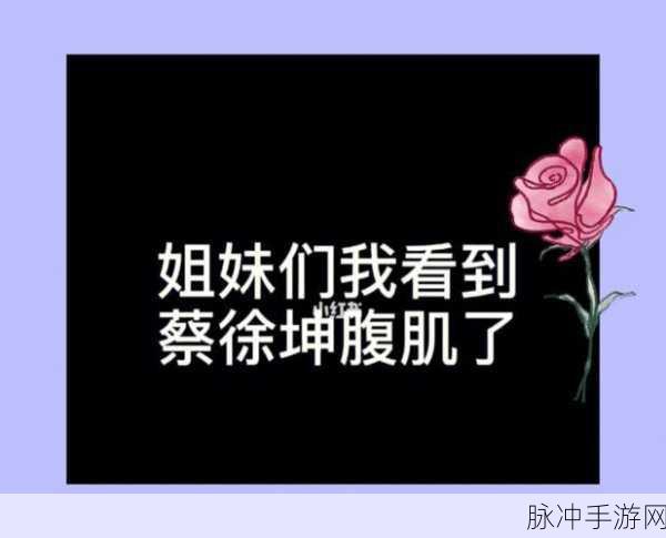 坤坤赛桃子：坤坤赛桃子：青春的绽放与成长之旅