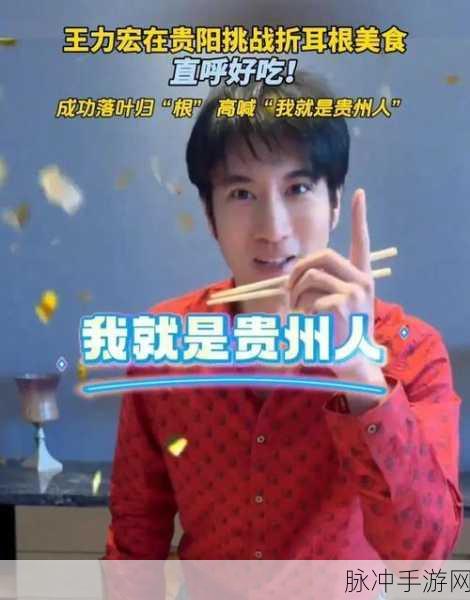 王力宏出了什么事儿：王力宏近期为何引发公众热议与关注？