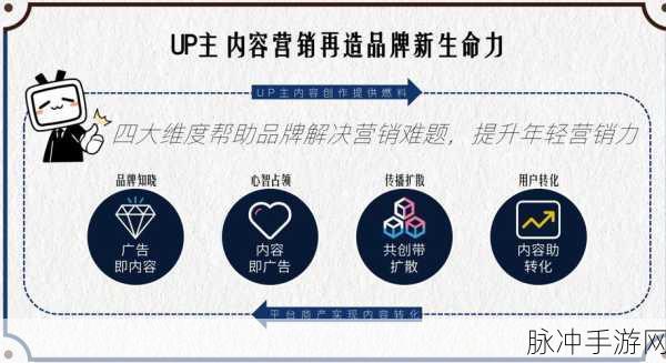 国外b站推广网站：全球精彩视频分享平台：探索国外B站推广新机遇