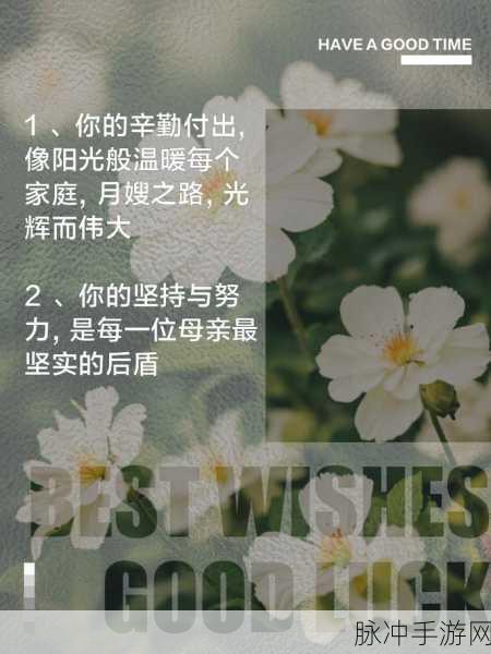 黑料正能量最新章节：黑料正能量：逆境中绽放的光辉与希望