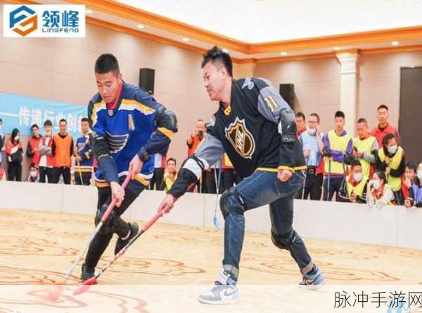 尾巴插件play冰球玩家评价：拓展尾巴插件：冰球玩家对其性能与体验的全面评价
