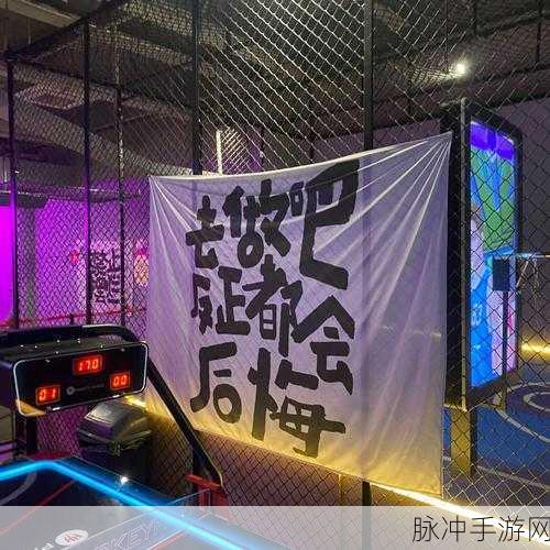 尾巴插件play冰球玩家评价：拓展尾巴插件：冰球玩家对其性能与体验的全面评价
