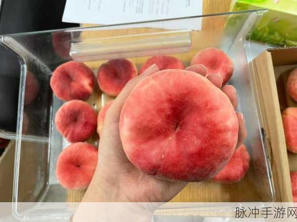 坤坤促进大桃子：“拓展坤坤助力大桃子事业腾飞新篇章”