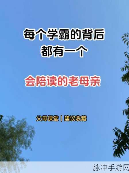 仨孩子的暴躁老妈：三个孩子的调皮日常与妈妈的爆笑应对