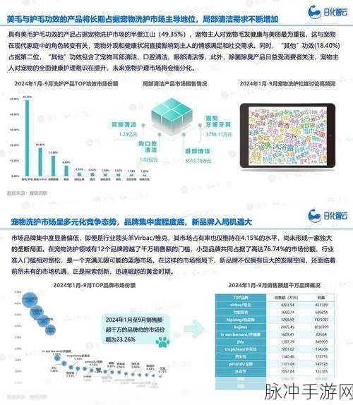 欧洲视频卡一：探索欧洲视频卡市场新趋势与创新应用的全面分析