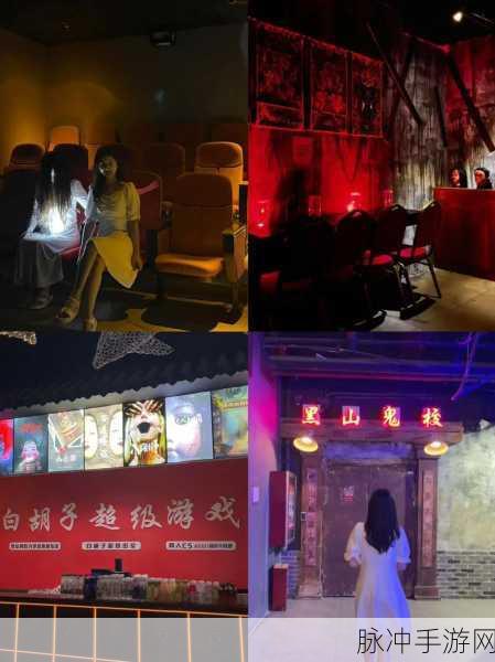 密挑TV：密室挑战：揭开谜题背后的真相与冒险之旅