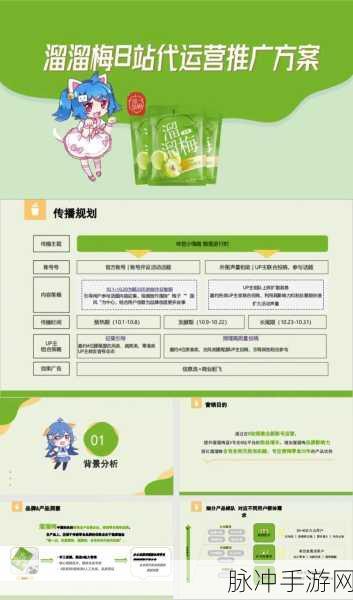 b站免费推广：如何利用B站进行有效的免费推广策略分享