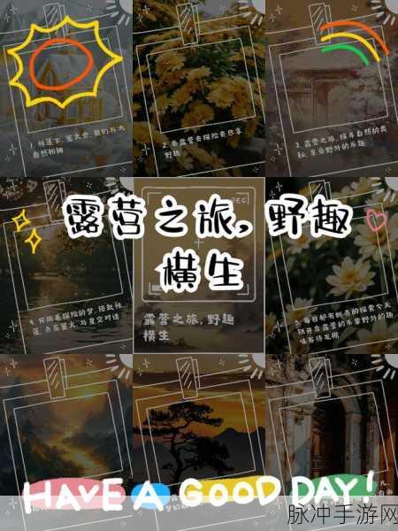 又黄又骚又爽的软件下载：尽享丰富多彩的激情软件，开启你的探索之旅！