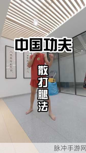 胡桃部下腿法娴熟：精通胡桃部下腿法，掌握灵活多变的技艺与技巧