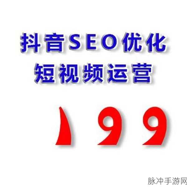 seo短视频网页免费入口引流：优化短视频网页SEO，提高免费流量获取技巧与策略
