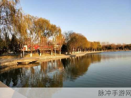 半夜十大黄台：夜深人静时，十大最具魅力黄台推荐解析
