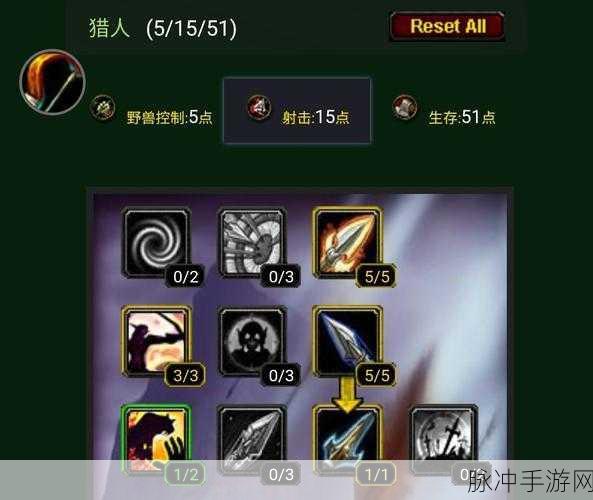 80级WLK猎人无脑一键宏：轻松上手的80级WLK猎人无脑一键宏技巧分享