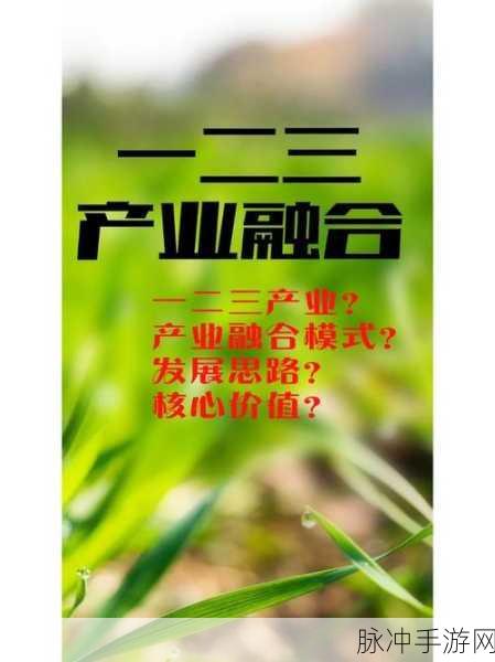 精产国品一二三产区手机：全面提升精产国品，推动一二三产业手机发展新局面