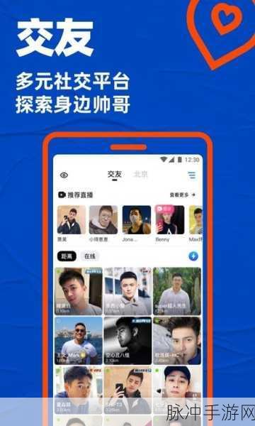 中国GARY小蓝网站入口：拓展中国GARY小蓝网站入口的多种方式和策略分享