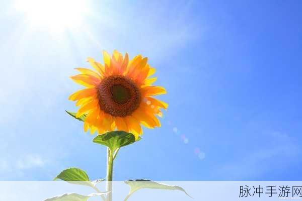 郭童童：郭童童：探寻多彩人生与成长之路的旅程