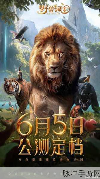 海外8x在线观看:探索全球精彩内容,尽享8x海外在线视频盛宴!