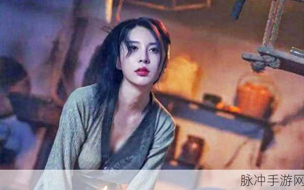 国产精品国产三级国产潘金莲：国产经典之作《潘金莲：欲望与背叛的纠葛