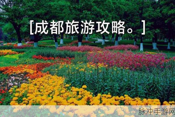 手一路下滑探寻秘密花园:细心探索手中之路,揭开秘密花园的神秘面纱