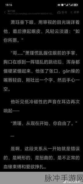 车速超高双男主小说随笔:极速狂飙:双男主的热血追逐与羁绊