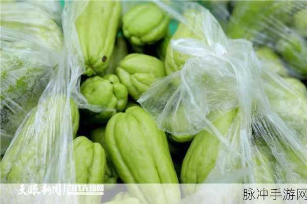 黑料网-黑料吃瓜圣地,解决找瓜难题!155.fun：拓展黑料网-吃瓜圣地，轻松解决你的找瓜难题！155.fun邀你一起探索真相。