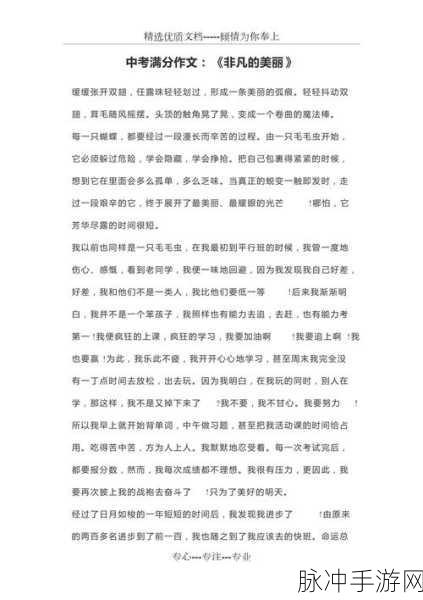 晶晶的极限改造日记：晶晶的极限改造日记：从平凡到非凡的蜕变之旅