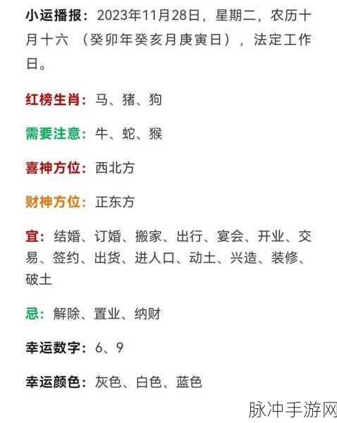 天网恢恢是什么生肖几岁：“天网恢恢，生肖运势与年龄的神秘联系”