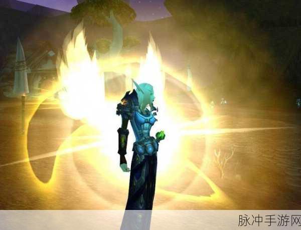 魔兽世界光明使者战袍：荣耀与光明：探秘魔兽世界中的光明使者战袍传奇