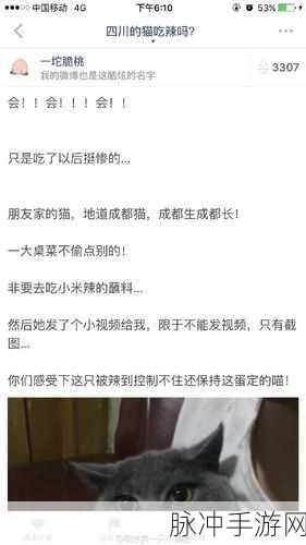 fun155黑历史：揭晓fun155背后的黑历史与不为人知的真相