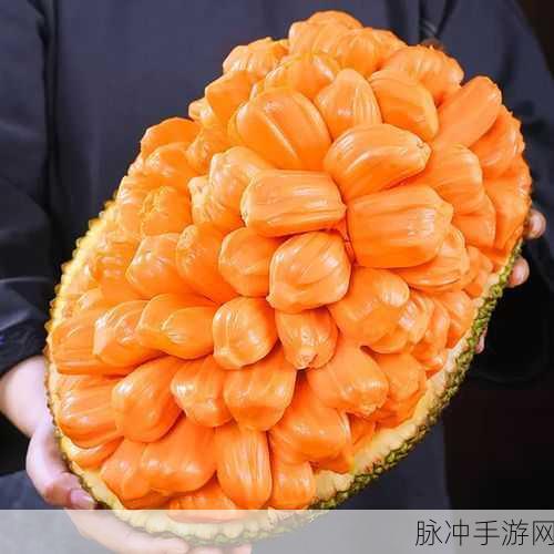 菠萝蜜在线观看：拓展菠萝蜜：探索热带水果的奇妙世界