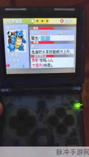 宝可梦欧米伽红宝石金手指：宝可梦欧米伽红宝石金手指：探索无限可能的冒险之旅
