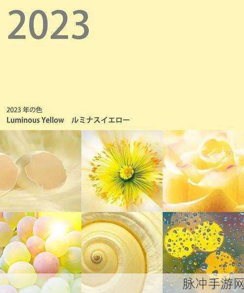 Yellow日本免费：黄昏中的日本：探索免费旅行的新视角与乐趣