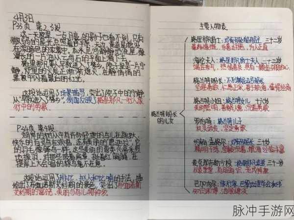 叔叔的成品店打工日记图片：在拓展叔叔的成品店勤工俭学，收获成长与快乐的日记